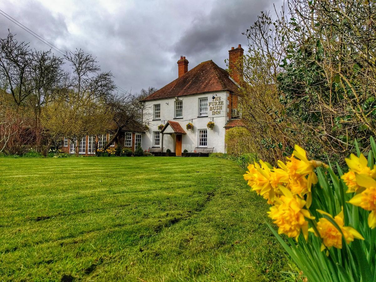 The Furze Bush Inn Newbury  Exterior foto